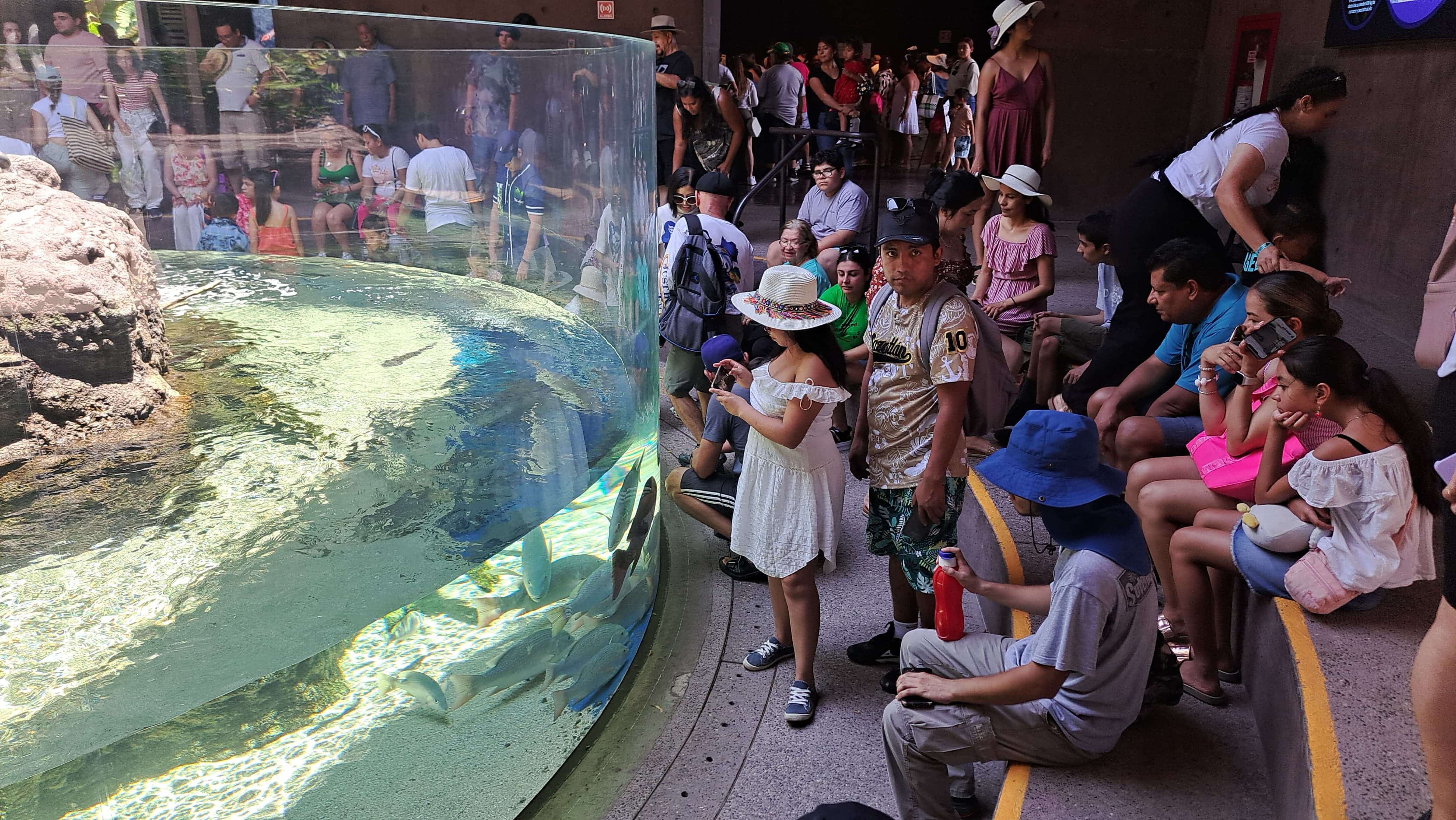 Turistas visitando el Gran Acuario durante su estadía en Mazatlán