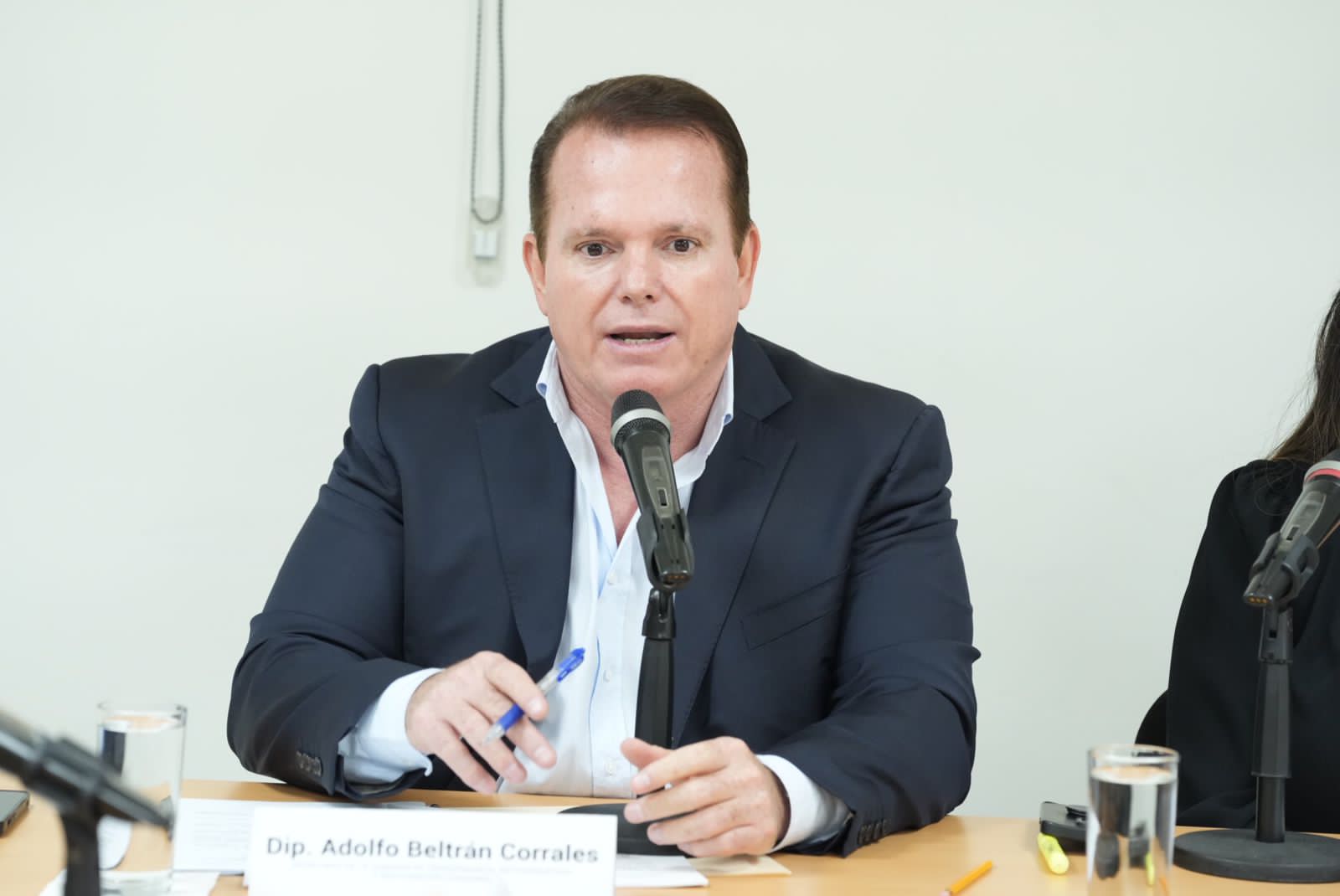 Adolfo Beltrán Corrales