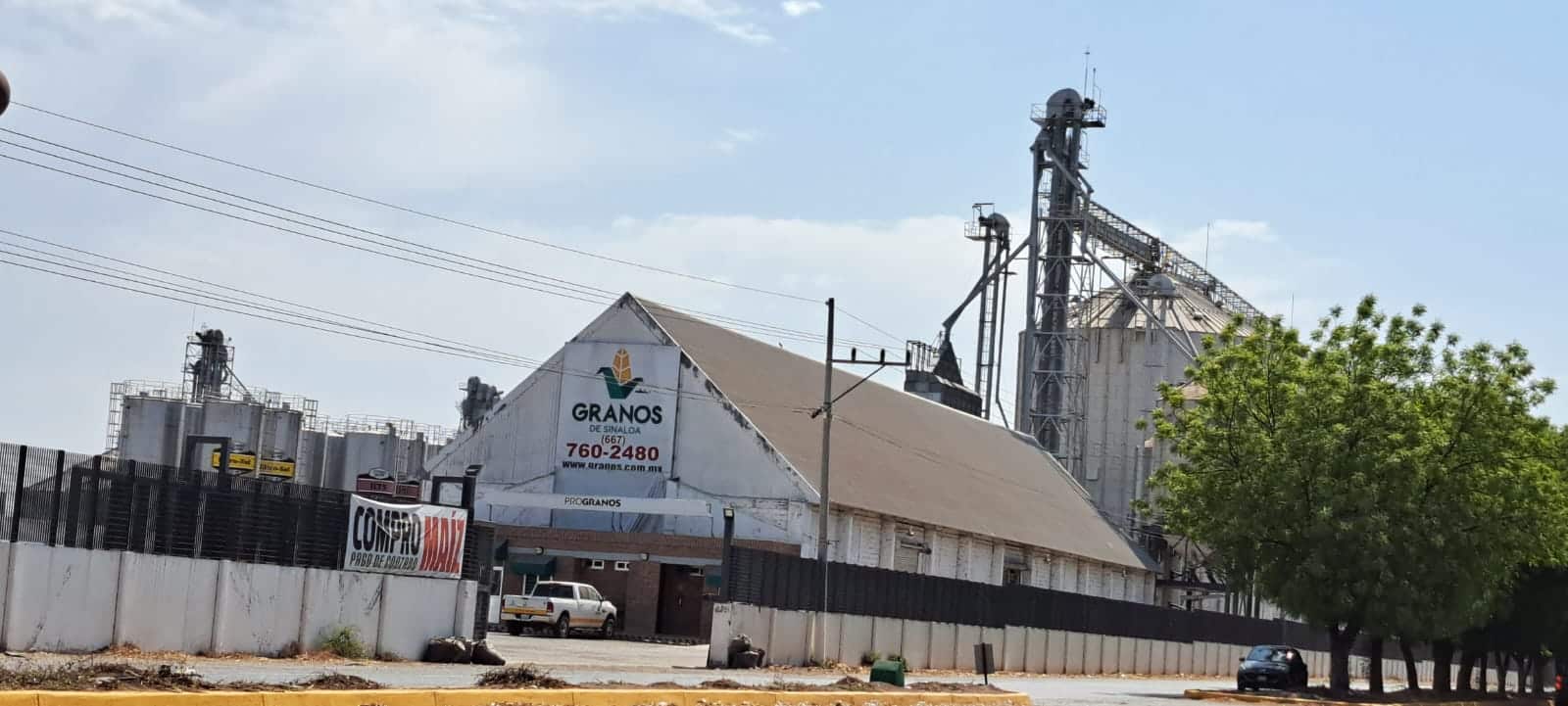 Esta semana abren los centros atención de Segalmex para el pago de los 750 por t de maíz