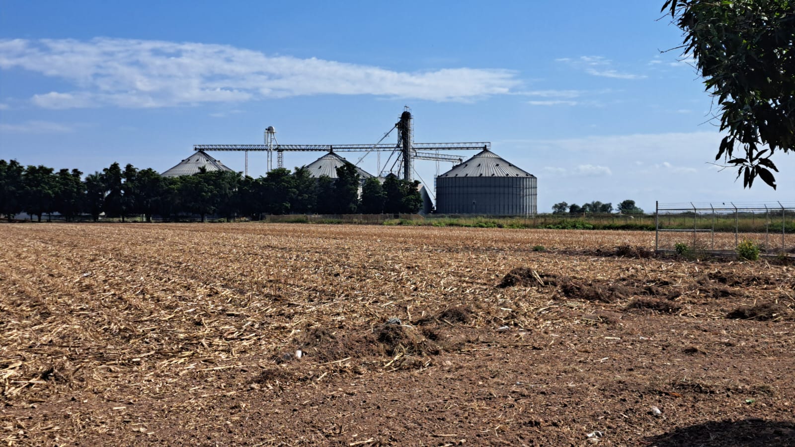 Bodegas agrícolas en Guasave