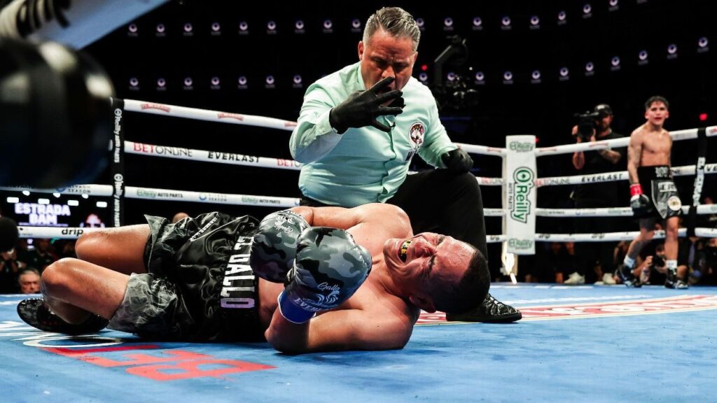 Boxeador Gallo Estrada en el suelo del cuadrilátero