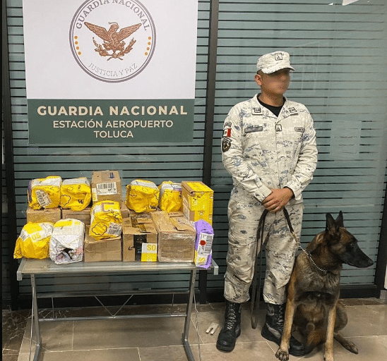 Perro de la Guardia con droga decomisada