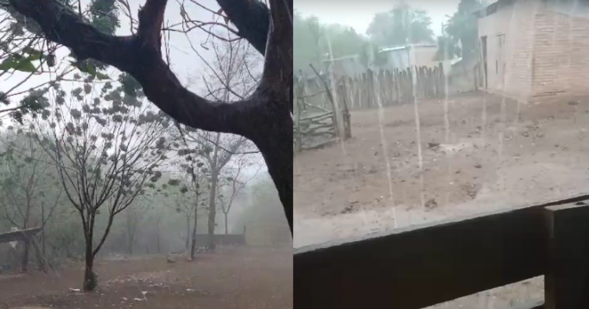 La lluvia va de intensa a moderada acompañada de fuertes vientos