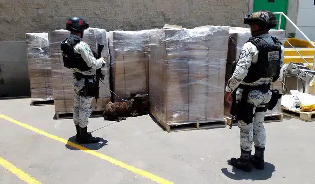 Droga asegurada por la Guardia Nacional en aeropuerto de Guadalajara