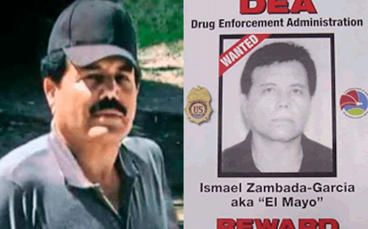 Perfil de Ismael 