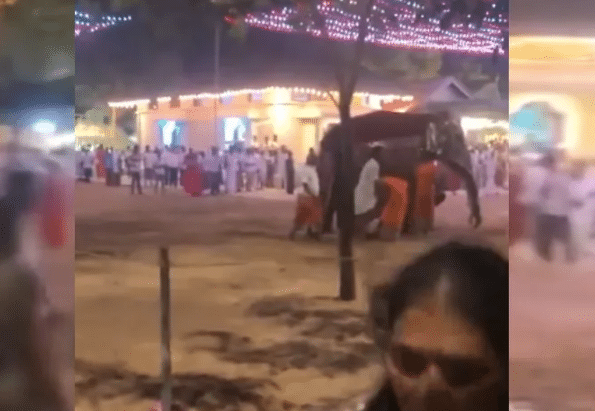 Elefante se sale de control y deja 13 heridos en festival religioso de Sri Lanka