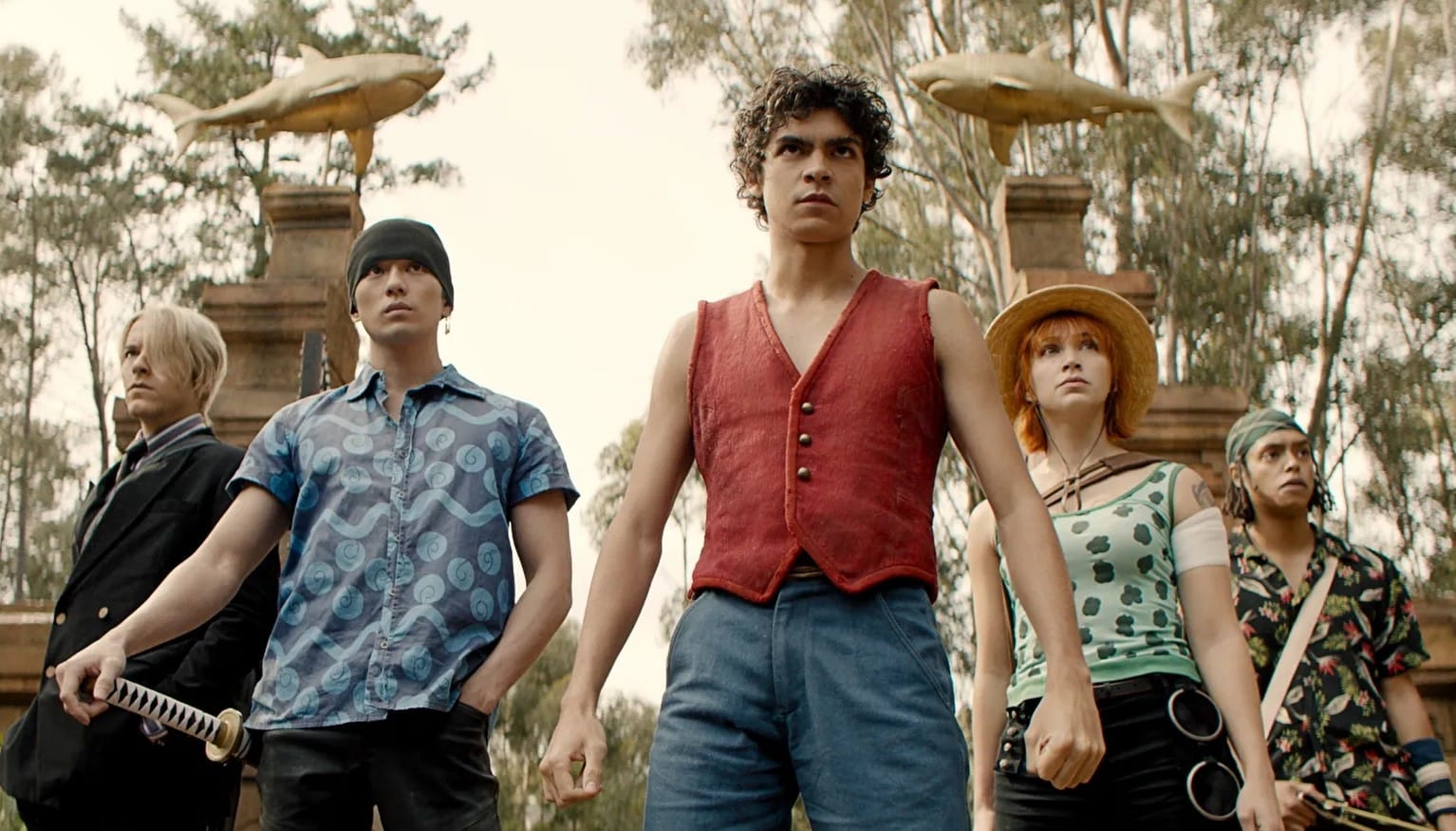 Elenco de One Piece en sus papeles