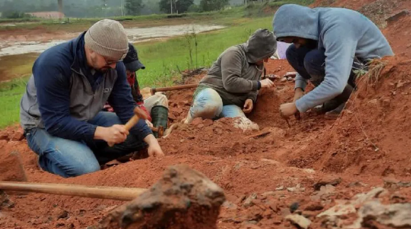 Tras inundaciones en Brasil, descubren fósil de dinosaurio de 230 millones de años