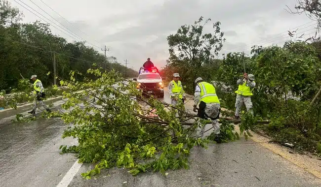 Guardia Nacional quitando árboles derribados pro el huracán Beryl