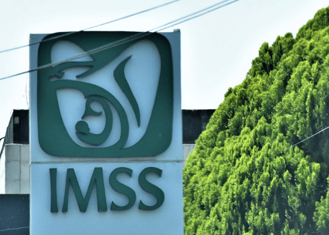 Cómo afiliarse a la modalidad 10 del IMSS