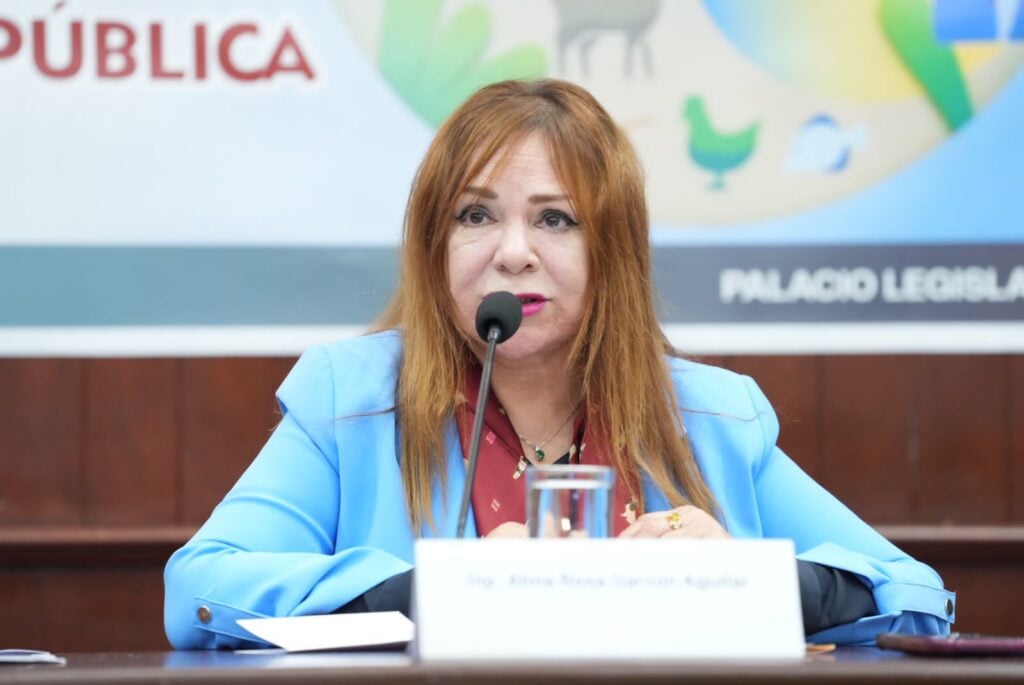 Alma Rosa Garzón Aguilar, presidenta de la Comisión de Justicia y secretaria de la Comisión de Ecología y Desarrollo Sustentable