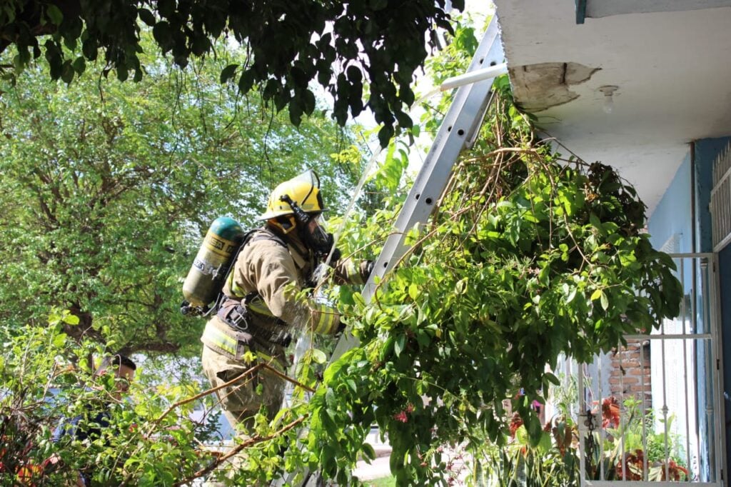 Elemento de bombero subiendo unas escaleras en la casa que se incendió en la colonia 20 de Noviembre en Mazatlán