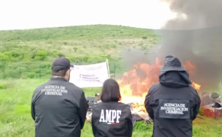 Incineran más de 400 kilos de droga en Michoacán