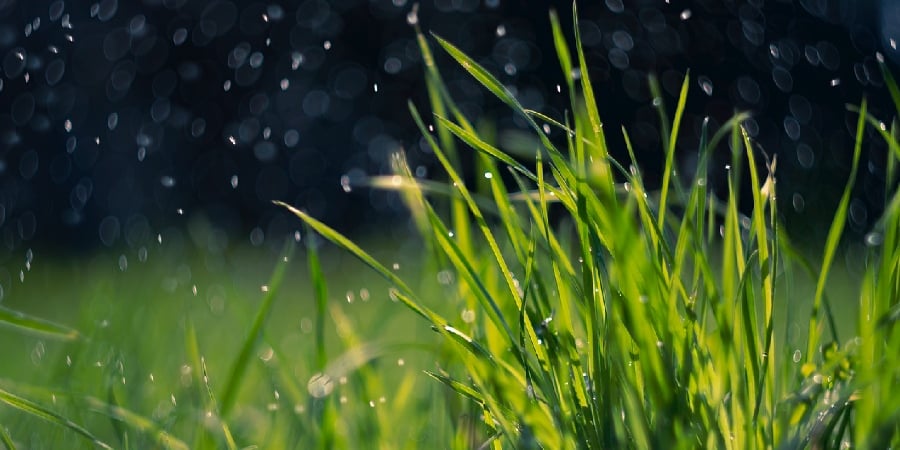 Jardines-de-retencion-de-lluvia-y-su-importancia-en-las-ciudades-1