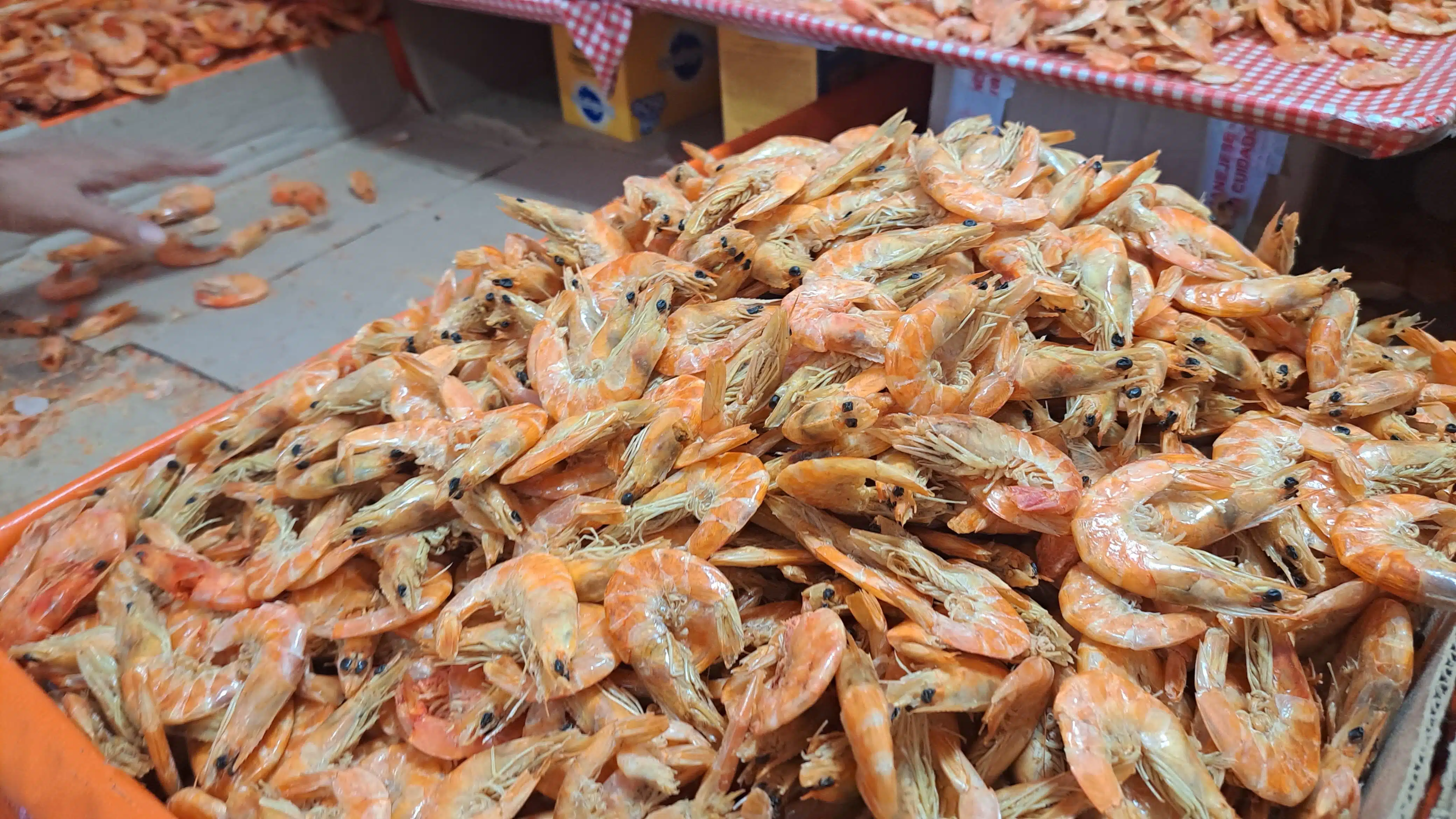 Las changueras reportan venta de camarón en 70 %