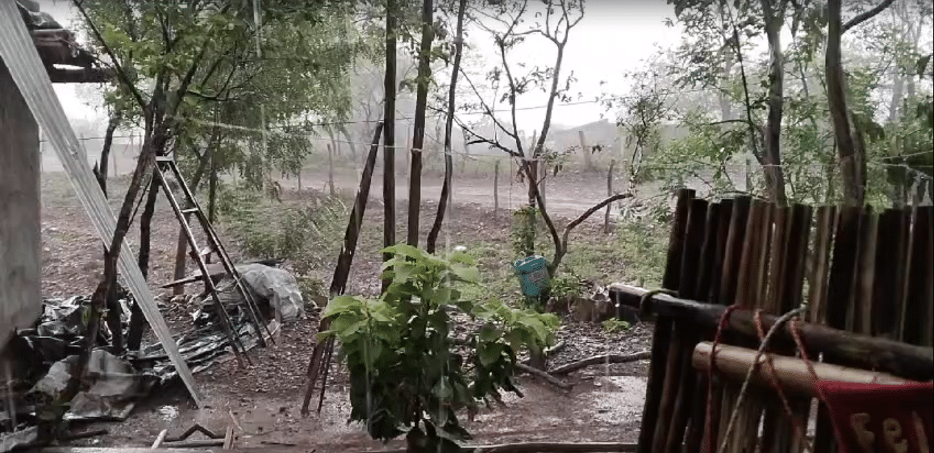 Intensa lluvia en Bacubirito