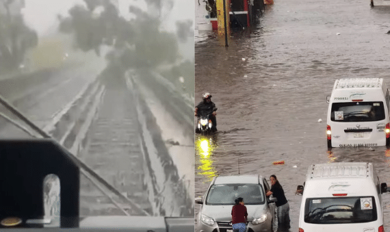Reportan inundaciones y árboles caídos en CDMX tras fuertes lluvias