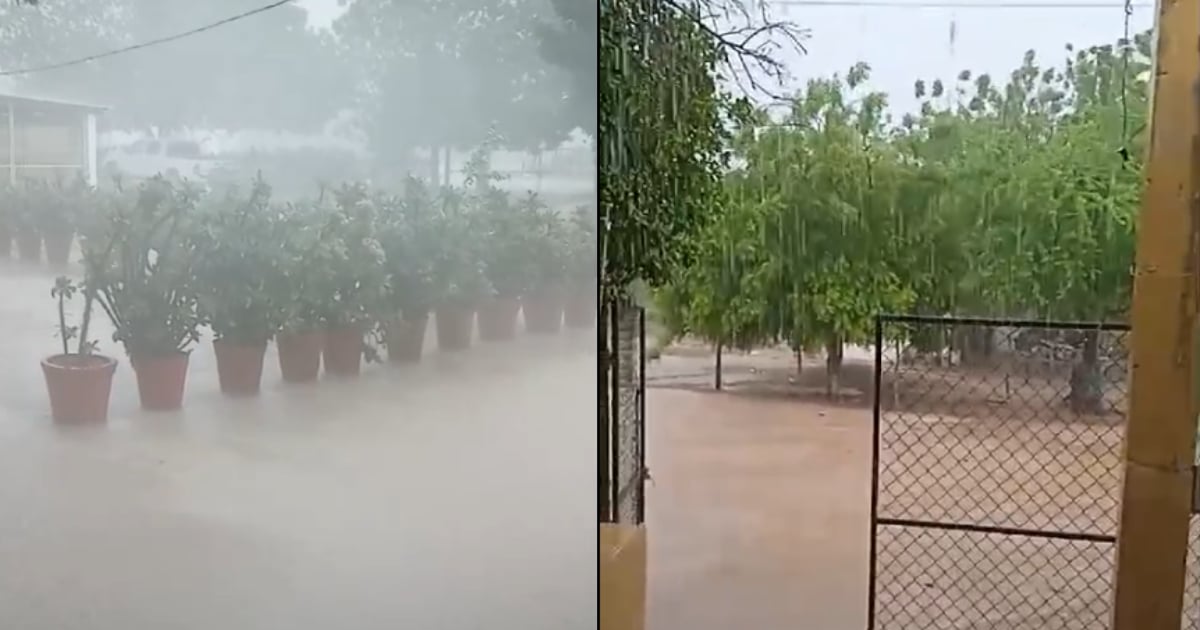Lluvias en El Fuerte y Choix la tarde de este lunes