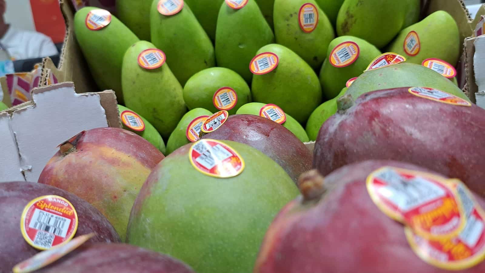 Mango
