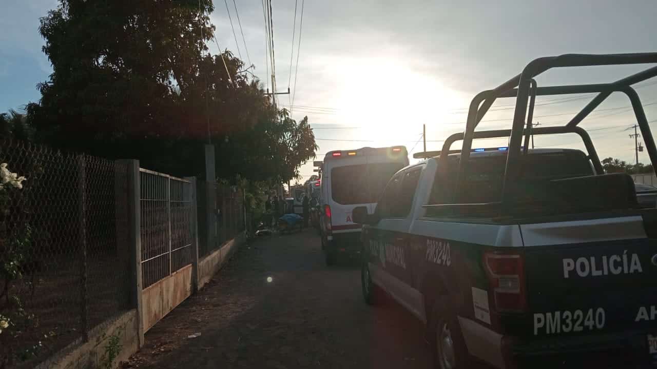 Muere adulto mayor por picadura de abejas
