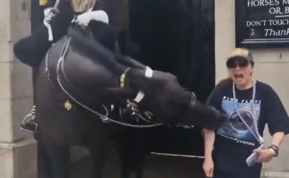 Mujer atacada por caballo real en Londres