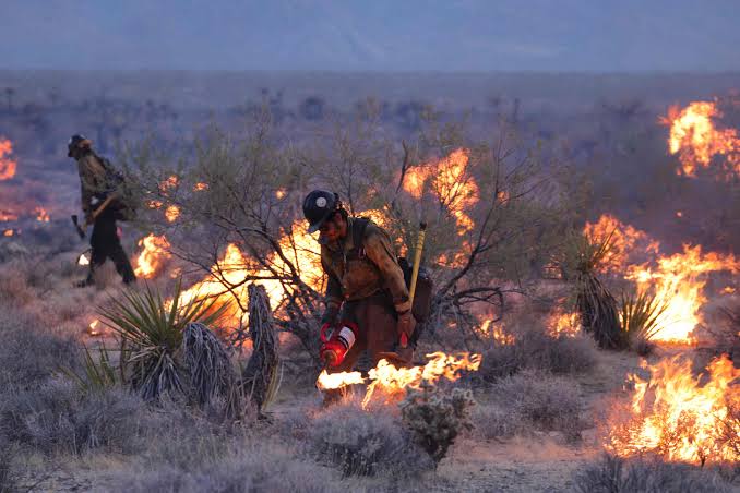 Ordenan evacuaciones por nuevo incendio forestal en California