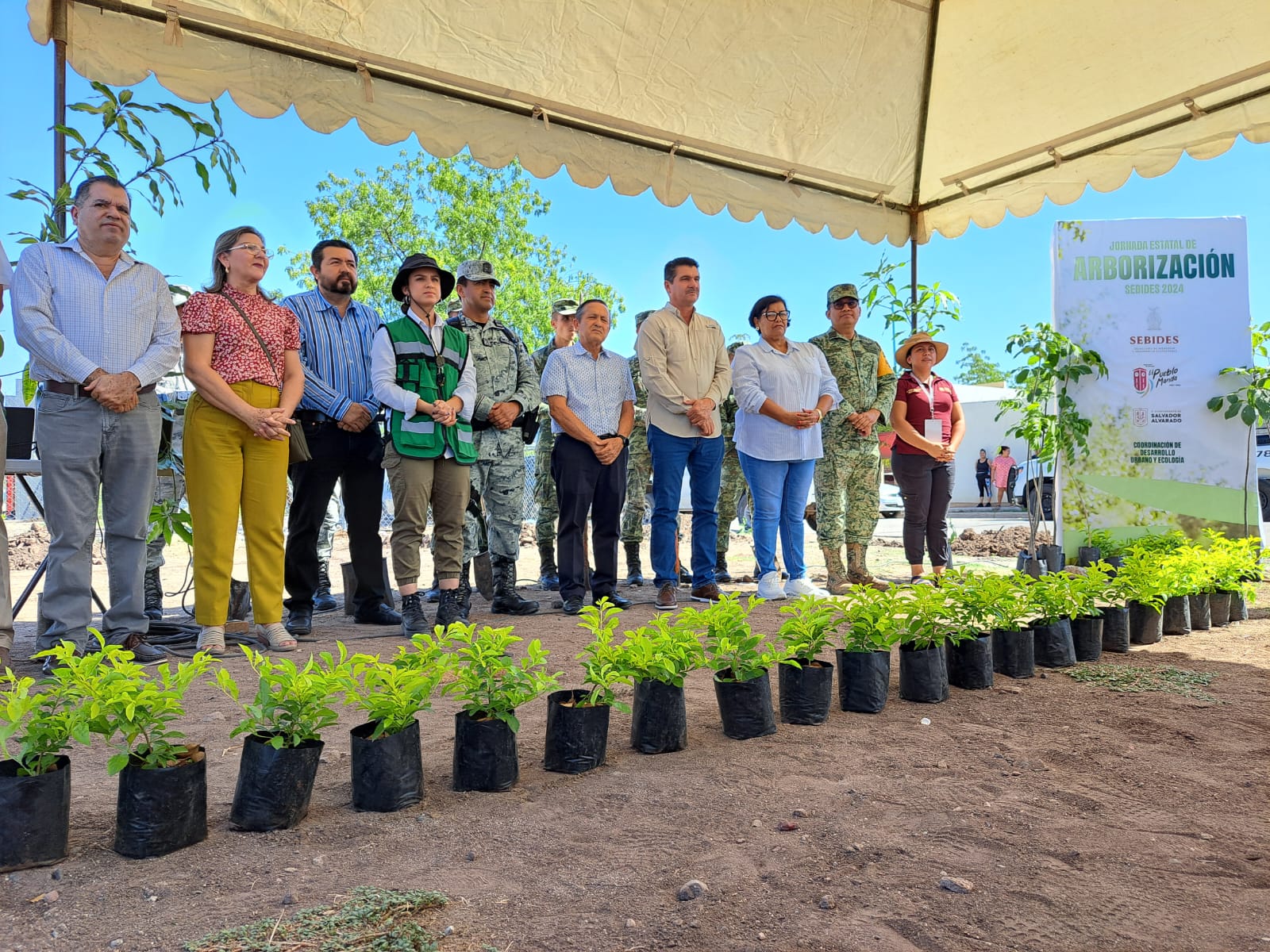 Salvador Alvarado inicia jornada estatal de arborización