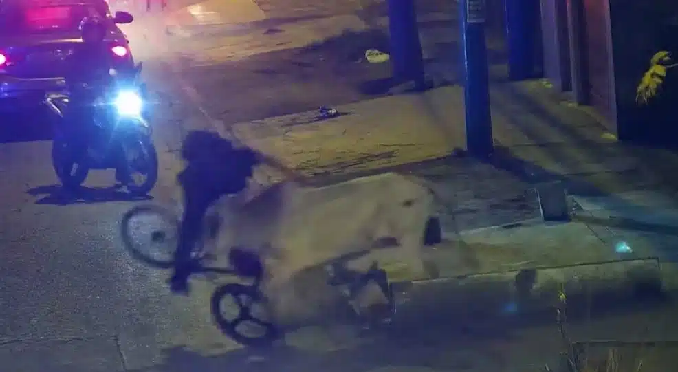 Un toro embiste a un ciclista en Perú