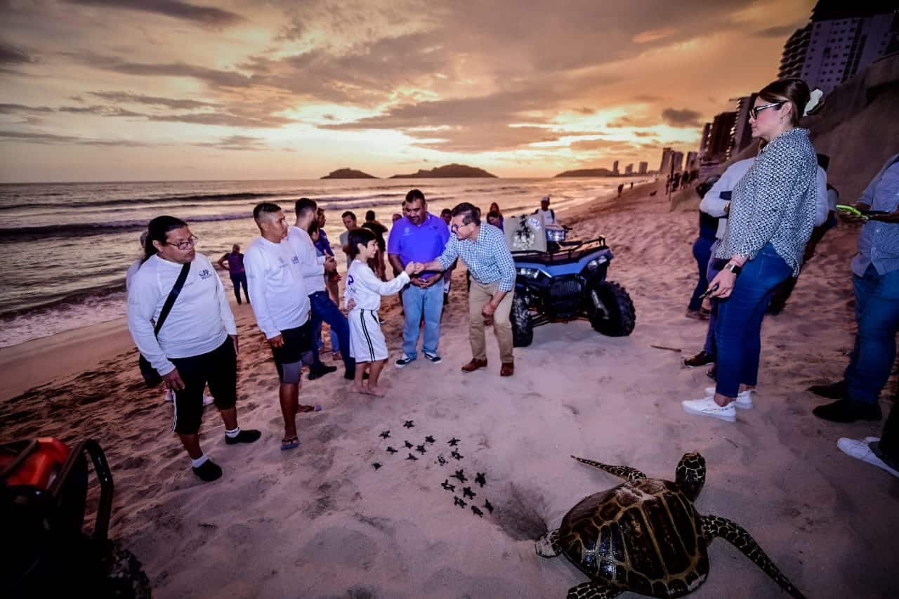 Arranca en Mazatlán el Programa de Protección a la Tortuga Marina