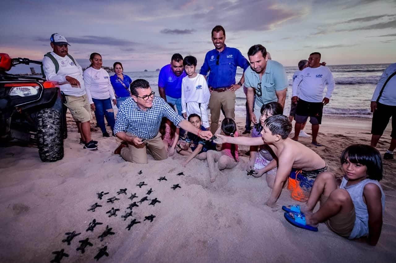 Arranca en Mazatlán el Programa de Protección a la Tortuga Marina