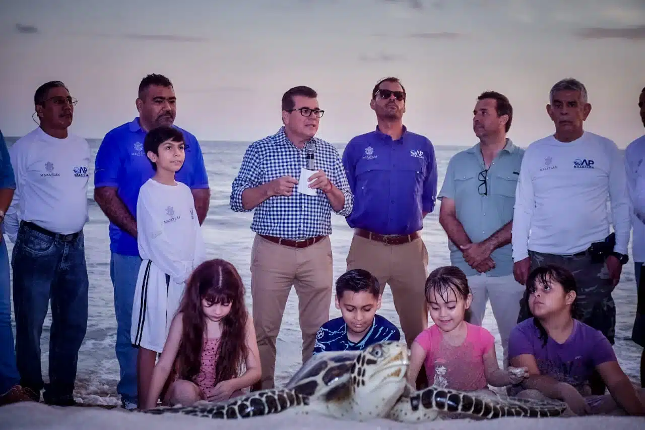 Arranca en Mazatlán el Programa de Protección a la Tortuga Marina
