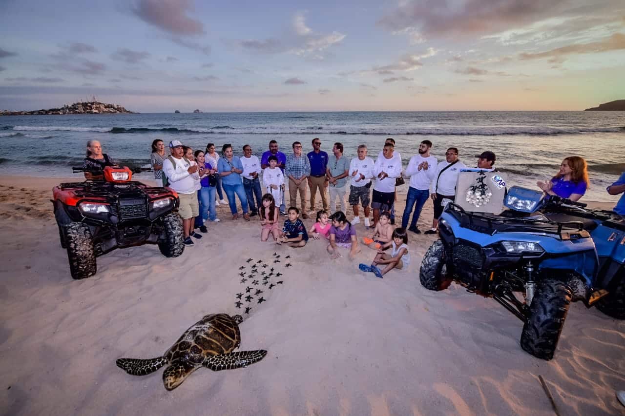 Arranca en Mazatlán el Programa de Protección a la Tortuga Marina