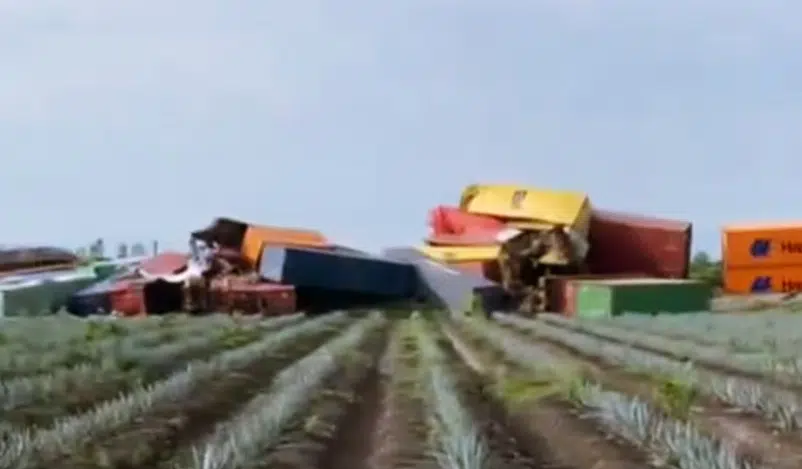 VIDEO: Tren de carga sufre aparatoso descarrilamiento en La Barca, Jalisco