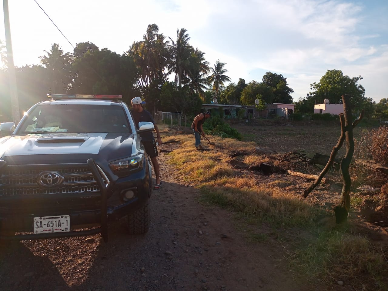 Un hombre fue detenido por el delito de tala de árboles