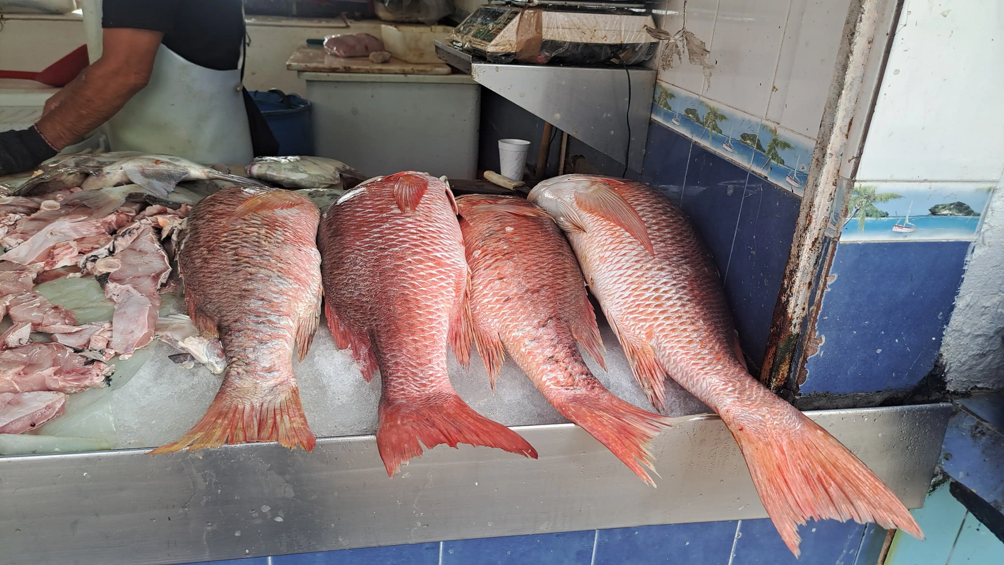 Venta de mariscos en la Isla de la Piedra