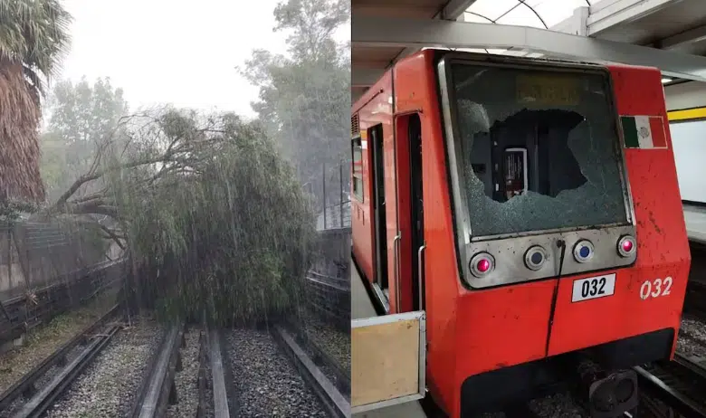 Lluvias provocan el colapso de un árbol sobre la línea 5 del Metro CDMX