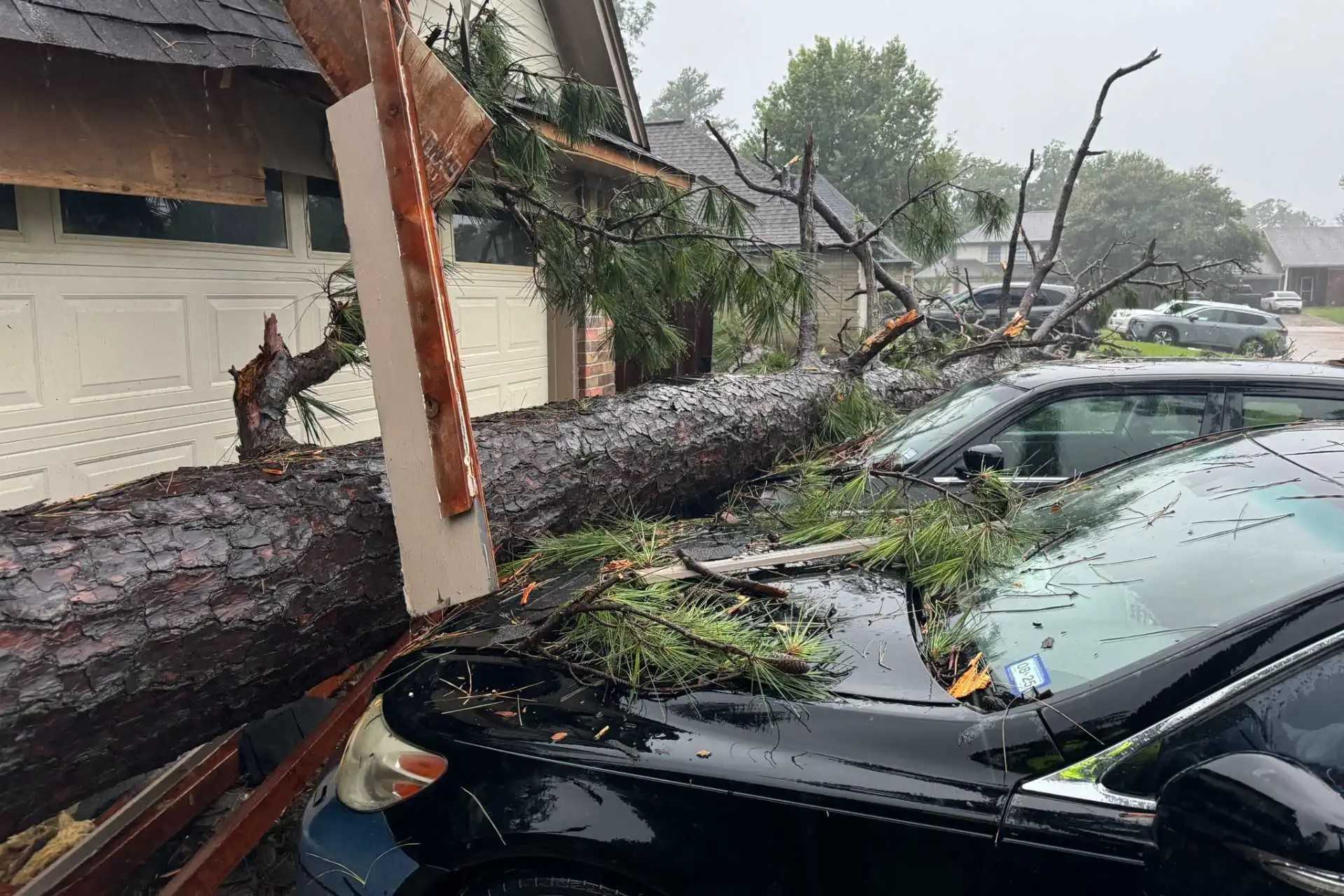Árbol caído en un auto en Texas