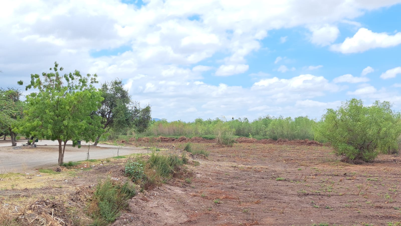 Arroyo en Yacochito