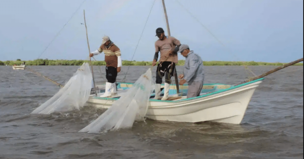 Pescadores jalan una red para atrapar peces hacia su barco