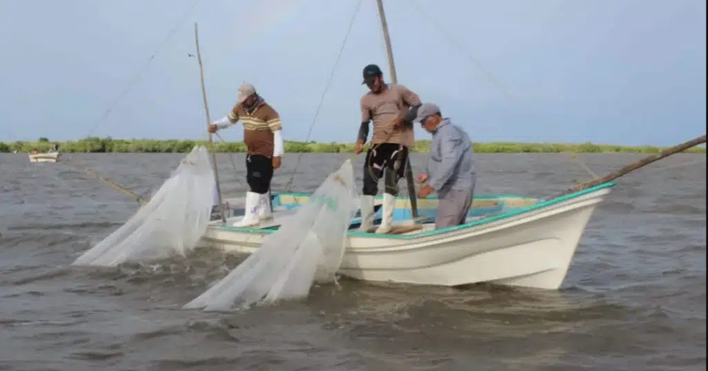 calor obliga a pescadoresde Mazatlán a regresar antes