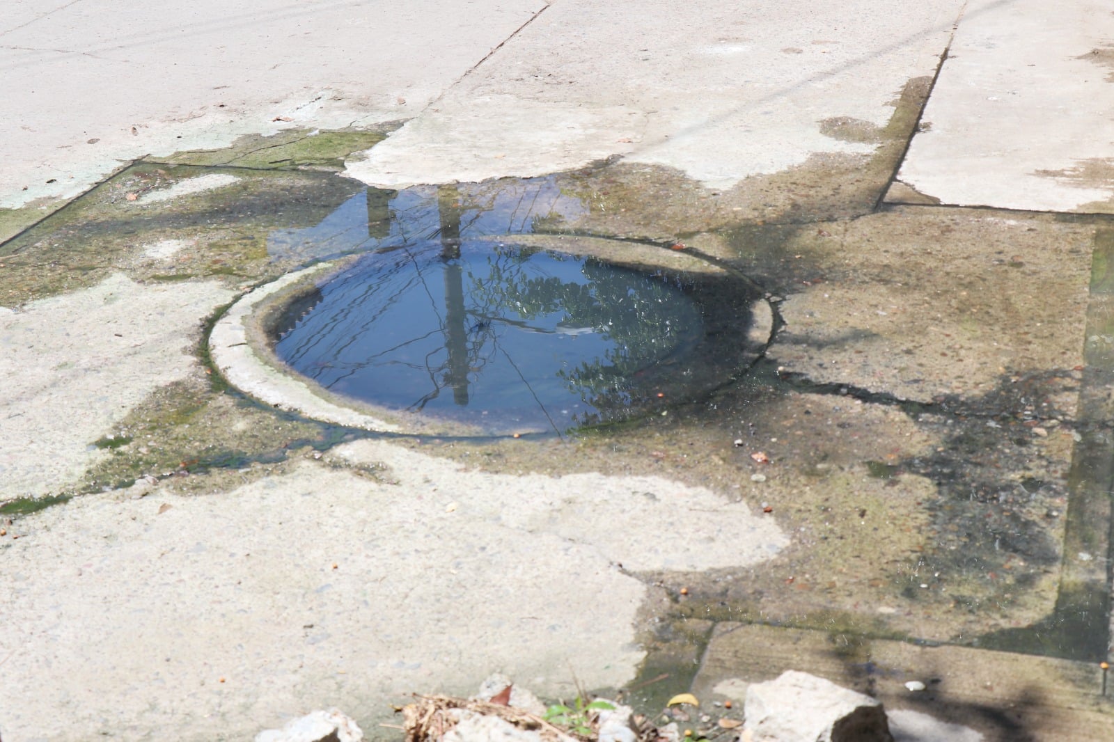 Aguas negras en alcantarilla de Mazatlán