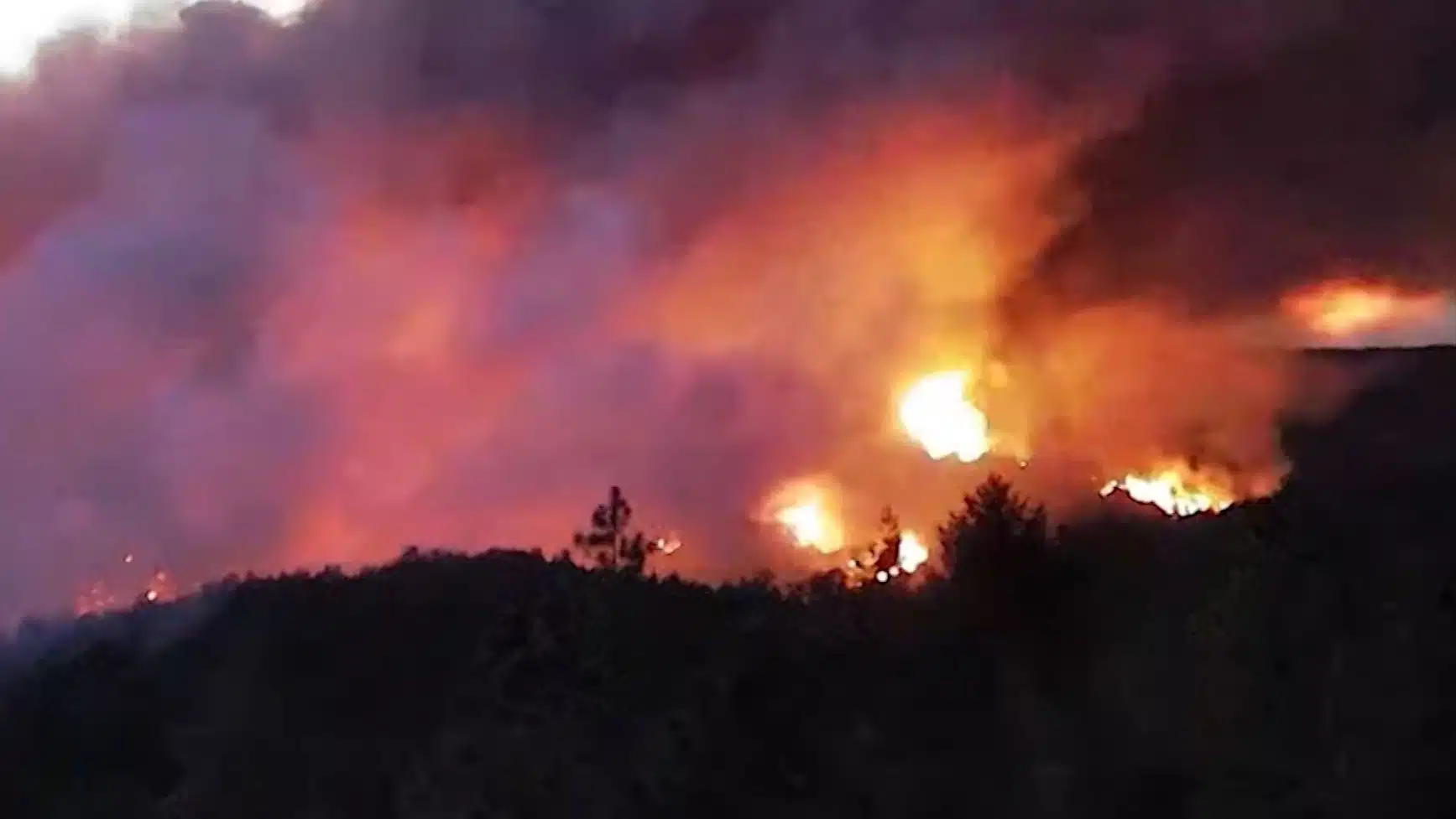 Incendio arrasa un bosque en California