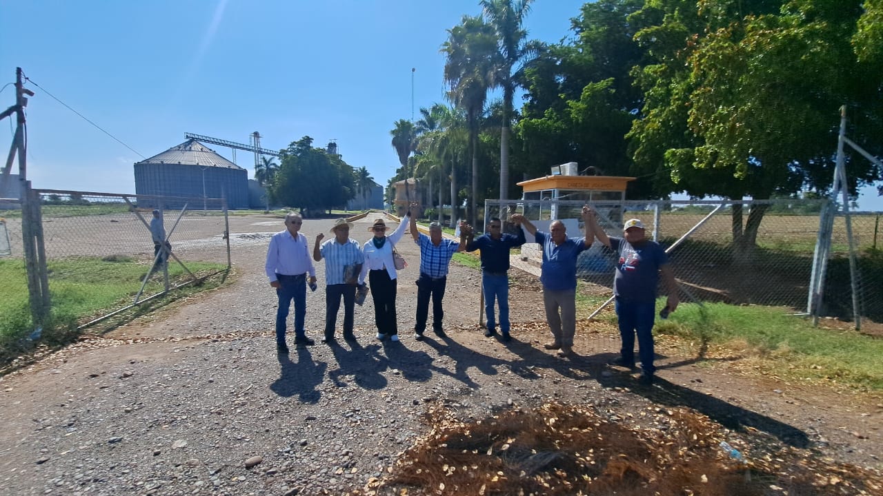Productores de maíz