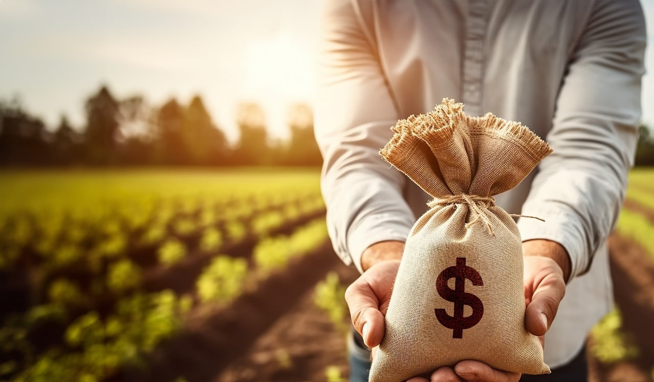 Persona en un campo agrícola sosteniendo un pequeño costal que tiene un signo de dinero