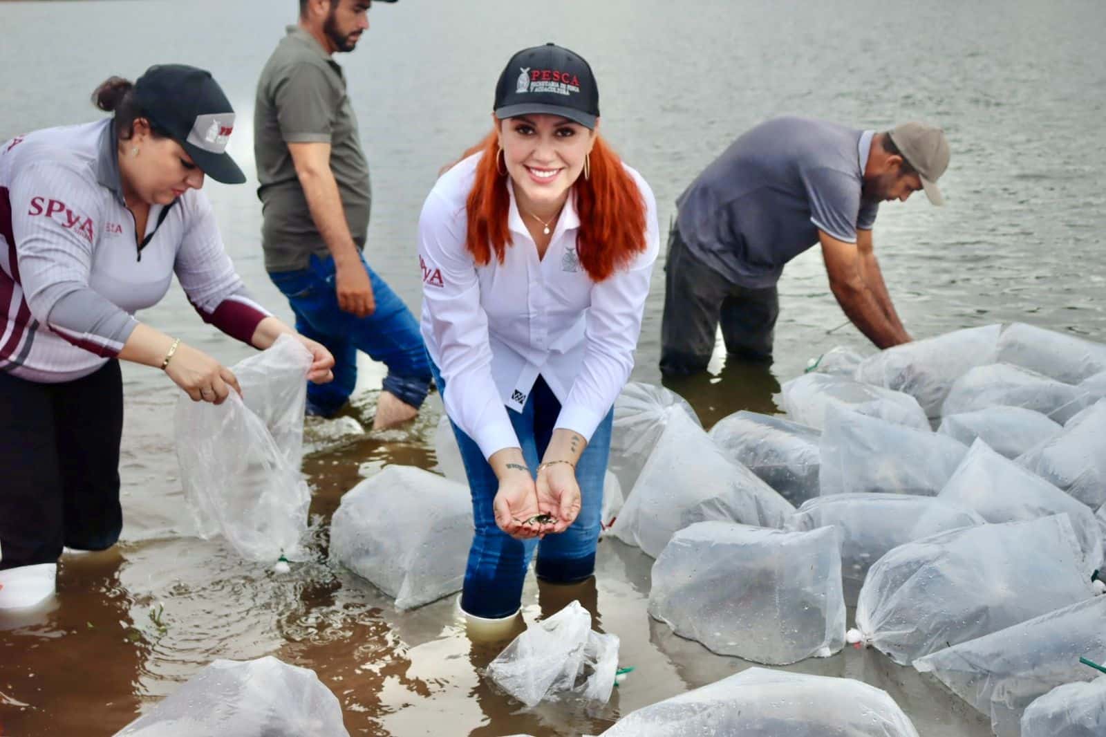 Siembra de 600 mil alevines en la presa Sanalona como parte de la tercera etapa del programa de Repoblamiento de Presas y Embalses