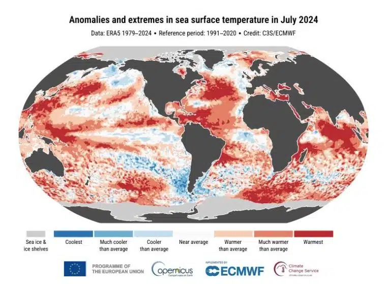 Anomalías y extremos en la temperatura superficial del mar en julio de 2024. C3SECMWF