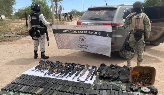 Armas y cientos de cartuchos útiles