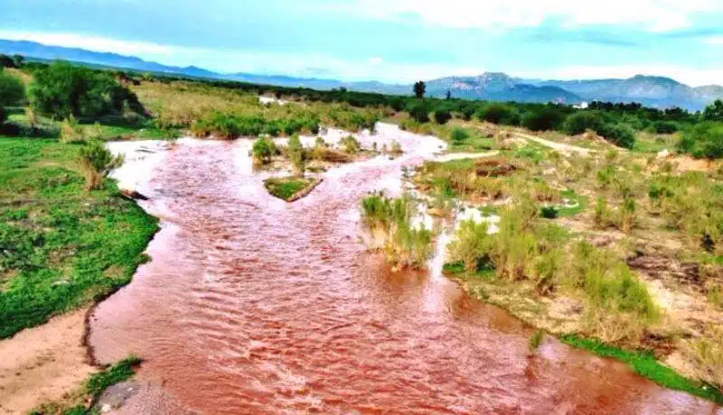 Contaminación del Rio Sonora