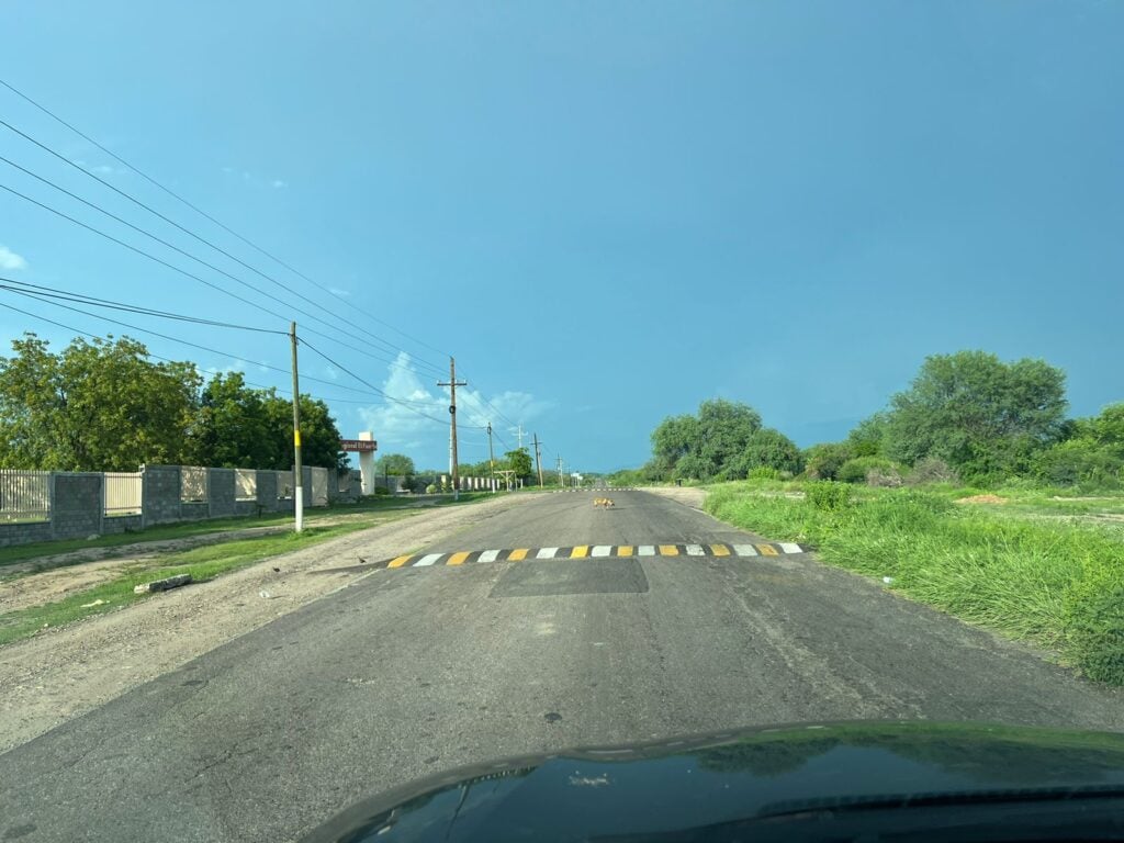 Denuncian que automovilistas evaden topes frente a la UAdeO El Fuerte