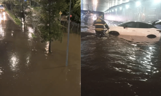 VIDEO: Las lluvias 